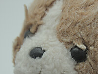 Portrait de peluche