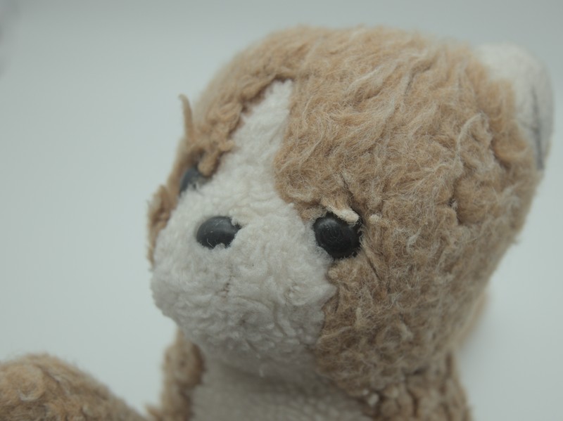 Portrait de peluche