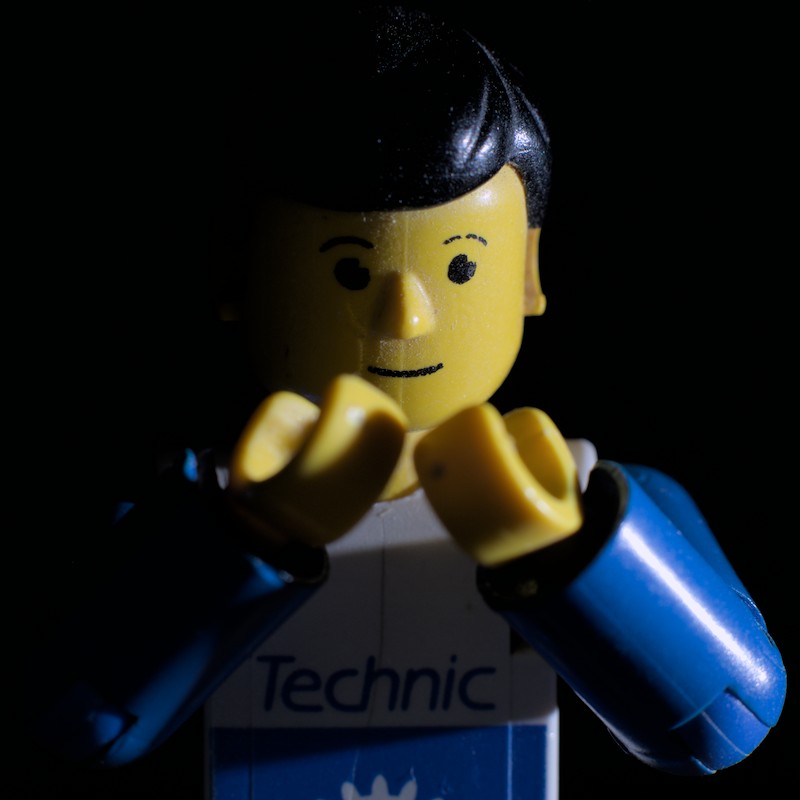 Portrait Lego