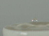 Goutte