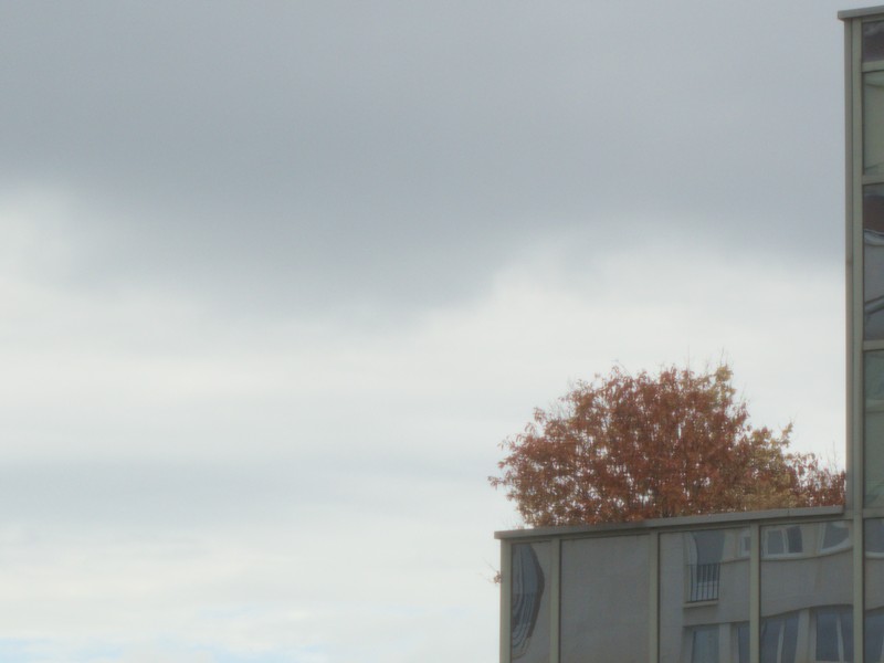 Ciel d'automne